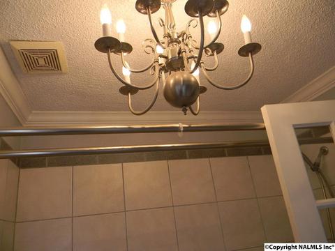 3787 E Upper River Rd, Somerville, AL 35670 photo 38