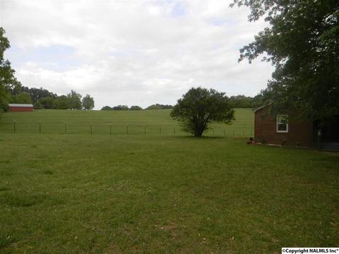 3787 E Upper River Rd, Somerville, AL 35670 photo 8
