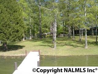 3470 Stone Dr, Cedar Bluff, AL 35959 photo 28