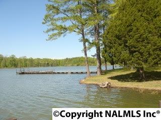 3470 Stone Dr, Cedar Bluff, AL 35959 photo 27