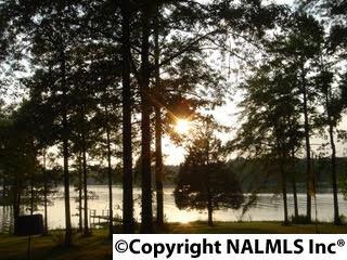 3470 Stone Dr, Cedar Bluff, AL 35959 photo 24