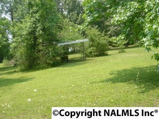 3470 Stone Dr, Cedar Bluff, AL 35959 photo 23