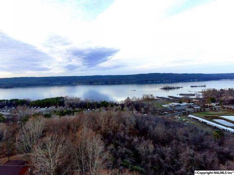 492 Eagle Point Rd, Langston, AL 35755 photo 35