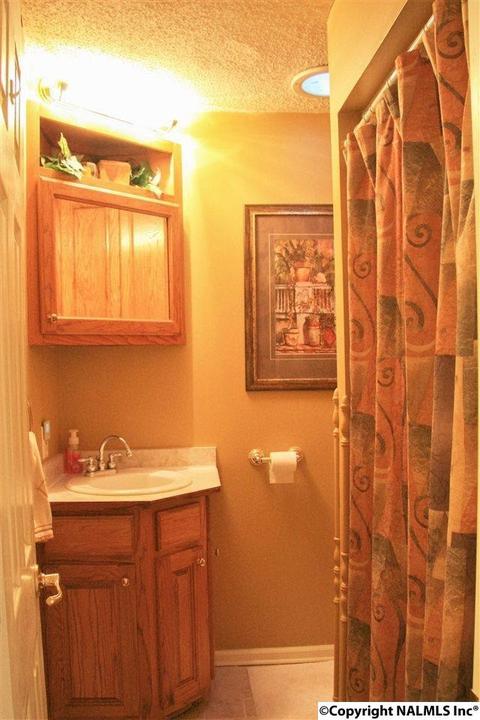 492 Eagle Point Rd, Langston, AL 35755 photo 13