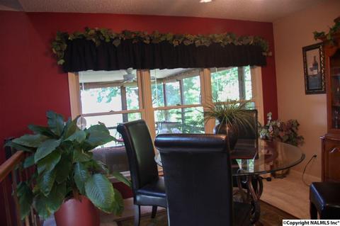 492 Eagle Point Rd, Langston, AL 35755 photo 7