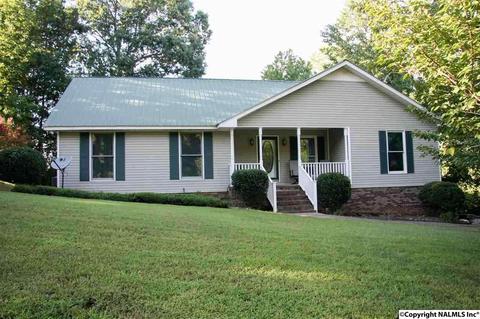 492 Eagle Point Rd, Langston, AL 35755 photo 1