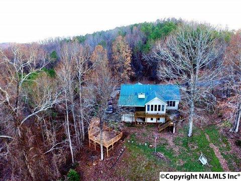 492 Eagle Point Rd, Langston, AL 35755 photo 34