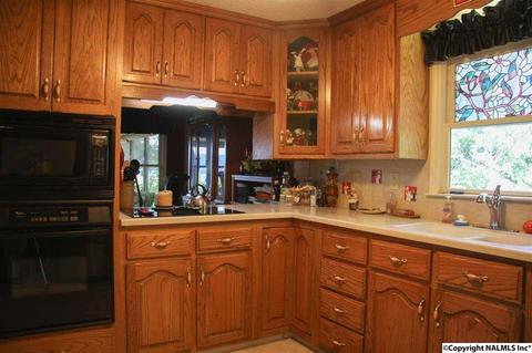 492 Eagle Point Rd, Langston, AL 35755 photo 6