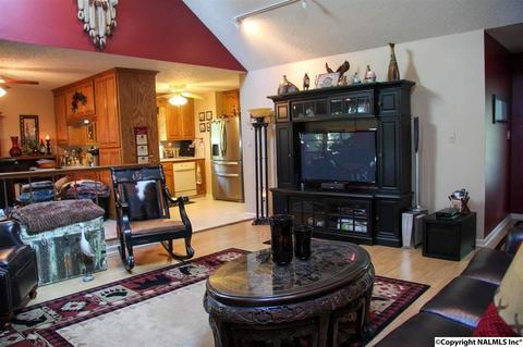 492 Eagle Point Rd, Langston, AL 35755 photo 9