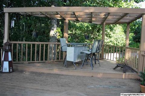 492 Eagle Point Rd, Langston, AL 35755 photo 23