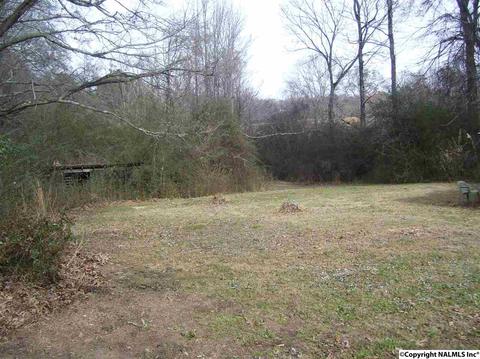 167 County Road 554, Trinity, AL 35673 photo 4