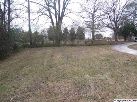 167 County Road 554, Trinity, AL 35673 photo 5
