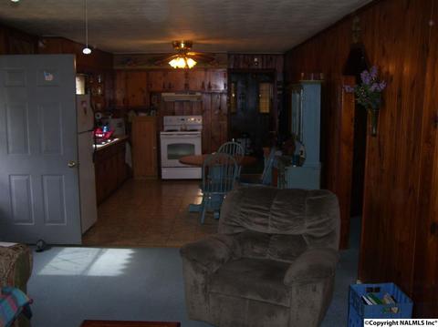 167 County Road 554, Trinity, AL 35673 photo 11