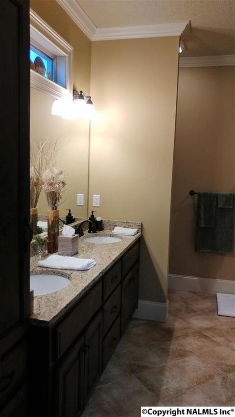 130 Willow Point Dr, Ohatchee, AL 36271 photo 26