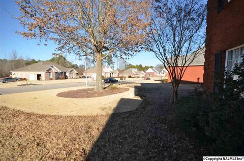 604 Meadowview Dr, Hartselle, AL 35640 photo 45