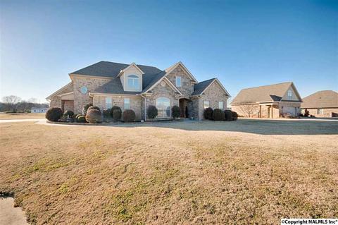 11 Tower St, Trinity, AL 35673 photo 1