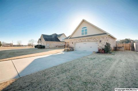 11 Tower St, Trinity, AL 35673 photo 14
