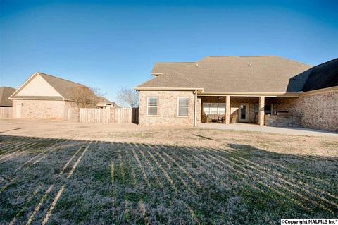 11 Tower St, Trinity, AL 35673 photo 8