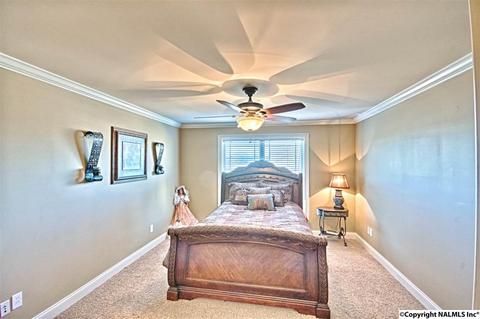 11 Tower St, Trinity, AL 35673 photo 37
