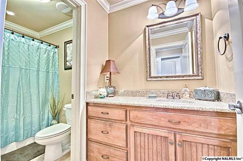11 Tower St, Trinity, AL 35673 photo 41