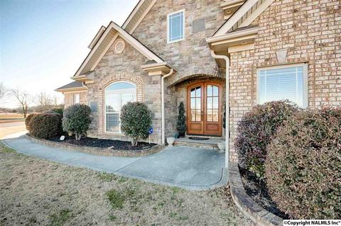 11 Tower St, Trinity, AL 35673 photo 5
