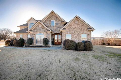 11 Tower St, Trinity, AL 35673 photo 2