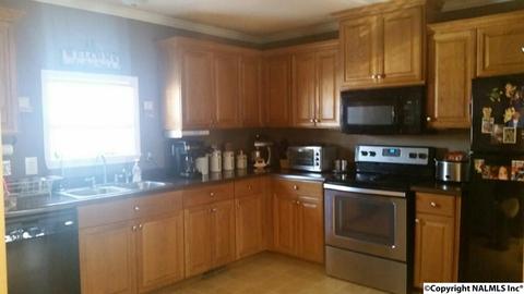 5200 Hidden Point Dr, Cedar Bluff, AL 35959 photo 3