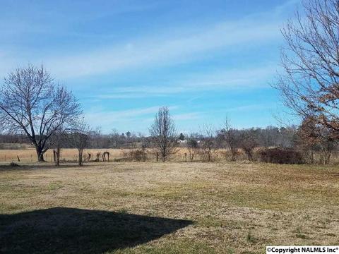 8101 Simpson Point Rd, Grant, AL 35747 photo 4
