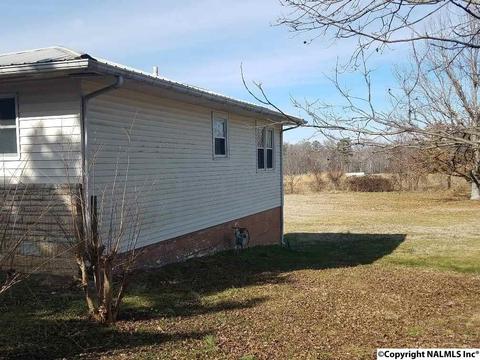 8101 Simpson Point Rd, Grant, AL 35747 photo 3