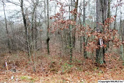 lot5 Quail Dr, Centre, AL 35960