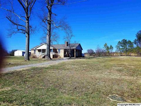454 County Road 167, Section, AL 35771 photo 2