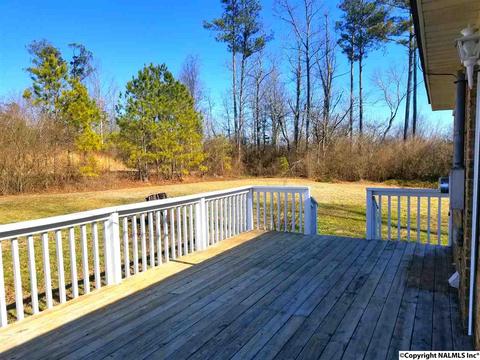 454 County Road 167, Section, AL 35771 photo 30