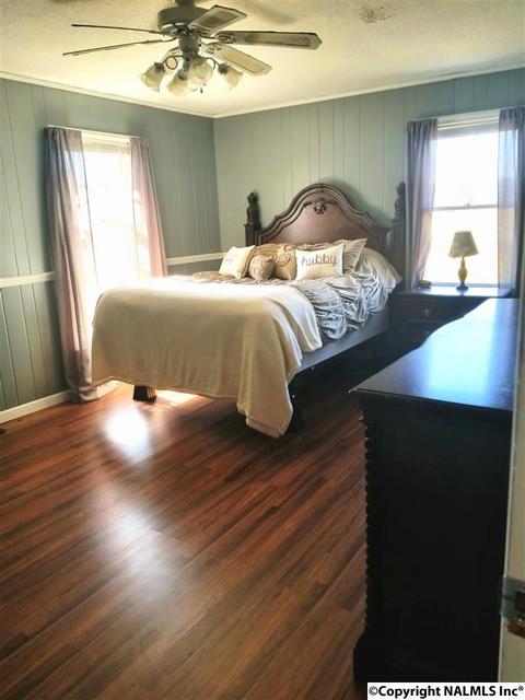 454 County Road 167, Section, AL 35771 photo 22