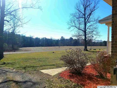 454 County Road 167, Section, AL 35771 photo 38
