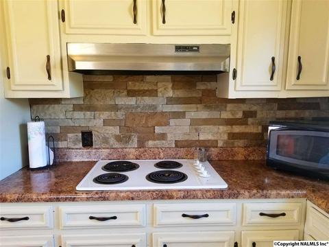 454 County Road 167, Section, AL 35771 photo 14