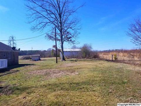 454 County Road 167, Section, AL 35771 photo 33