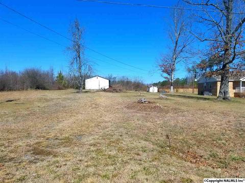 454 County Road 167, Section, AL 35771 photo 37