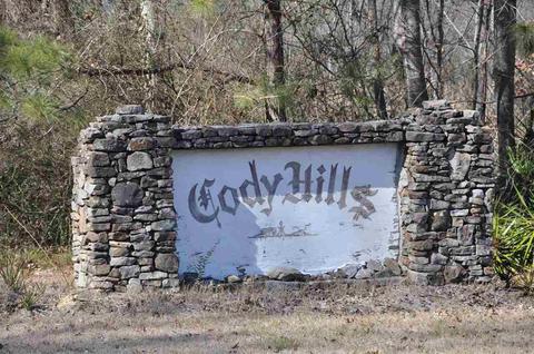 690 Chambers Rd, Arab, AL 35016 photo 49