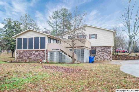 228 Spring Rd, Arab, AL 35016 photo 5