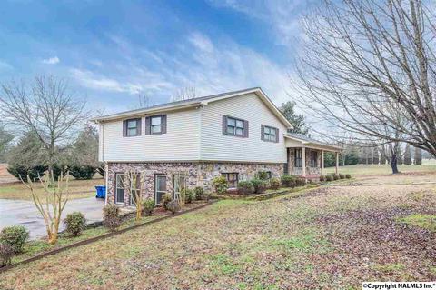228 Spring Rd, Arab, AL 35016 photo 3