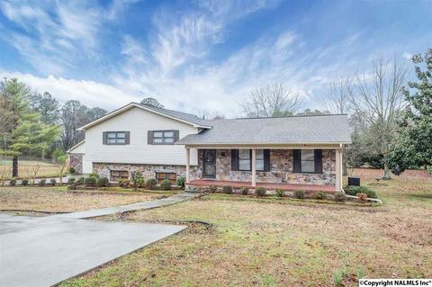 228 Spring Rd, Arab, AL 35016 photo 2