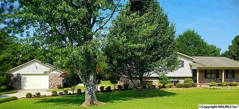 228 Spring Rd, Arab, AL 35016 photo 29