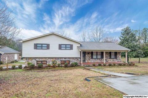 228 Spring Rd, Arab, AL 35016 photo 1