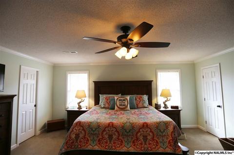 37 County Road 367, Trinity, AL 35673 photo 25