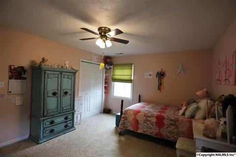 37 County Road 367, Trinity, AL 35673 photo 28