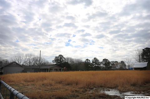 37 County Road 367, Trinity, AL 35673 photo 6