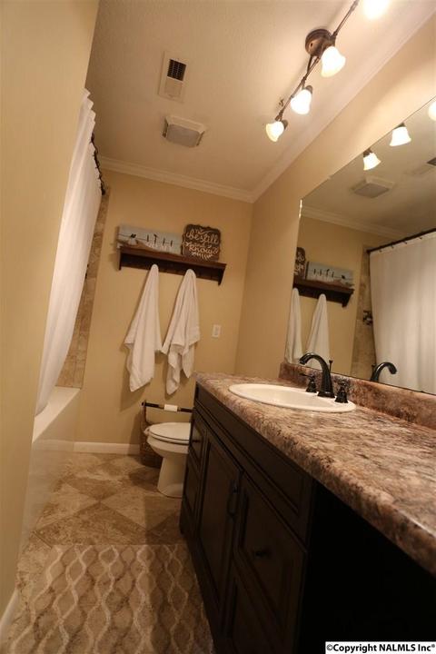 37 County Road 367, Trinity, AL 35673 photo 23