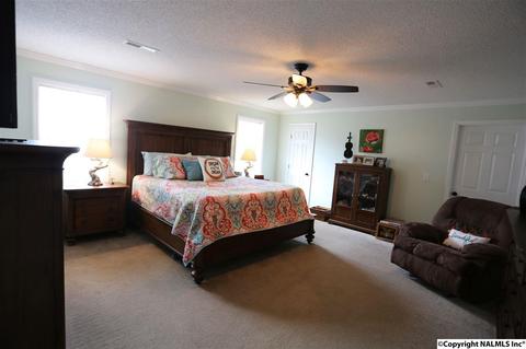 37 County Road 367, Trinity, AL 35673 photo 24