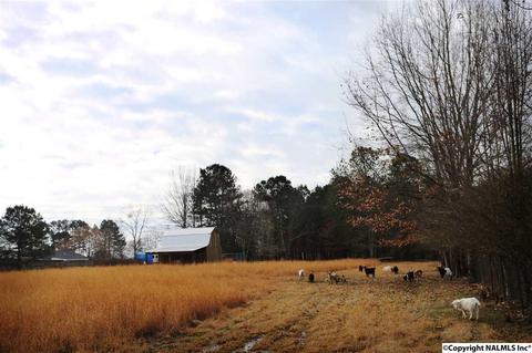 37 County Road 367, Trinity, AL 35673 photo 8