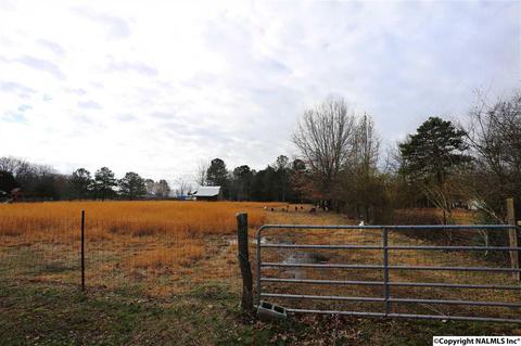 37 County Road 367, Trinity, AL 35673 photo 7